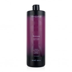 DCM šampūnas, naudojamas tik PO dažymo 100 ml.